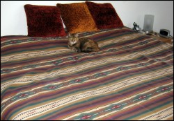 The Princess and the pea.