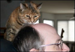 Daddy needs a touch-up.