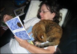 No lap? A shoulder will do.