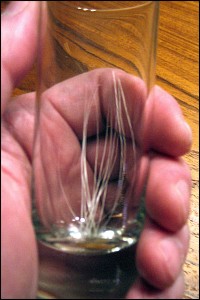 Emma's whiskers